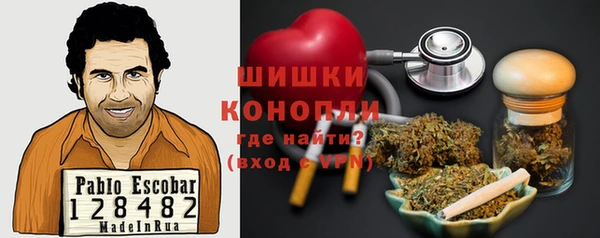 тгк Горнозаводск