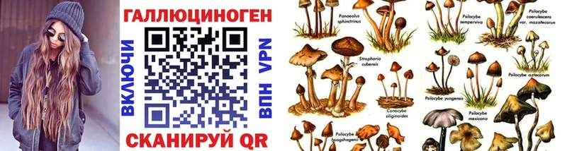 где найти Сатка Галлюциногенные грибы Cubensis